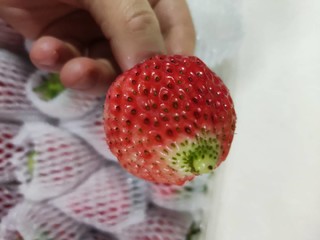 京觅 牛奶草莓
