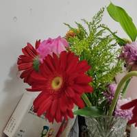 京东福利-每月一次的鲜花