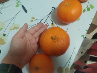 大大小小的果冻橙