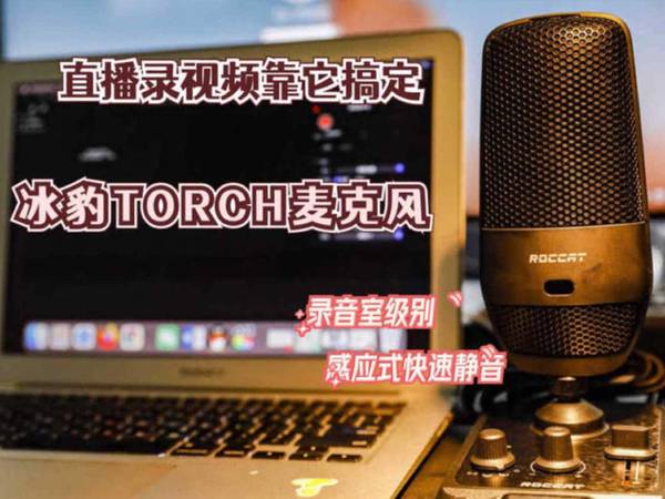 冰豹TORCH麦克风直播录视频靠它搞定