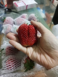 草莓比想象中的好