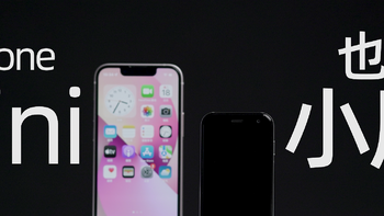 你管iPhone mini叫小屏手机？