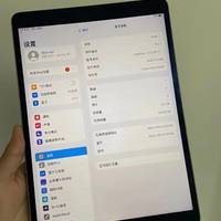 廉颇老矣 iPad Pro 10.5