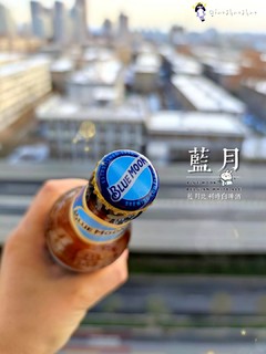 [测评]蓝月比利时白啤酒