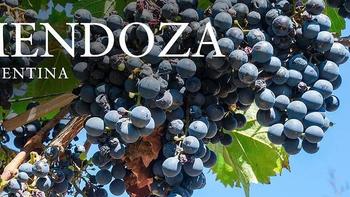 海拔超过千米的葡萄园酿出的葡萄酒到底什么味道？——阿根廷门多萨产区