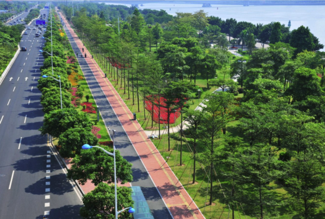 临江大道旁有一条缓跑径,从猎德大桥东侧一直延伸至华南大桥段,沿途有