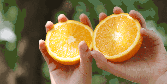 编辑测评团：8款橙子对比横评，谁才是橙子界的最强王者？