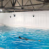 投石问路 篇二十二：手机摄影来记录潜水与游泳间的运动差异