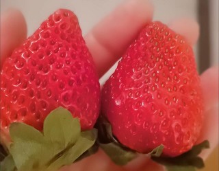 酸甜可口的香香草莓🍓