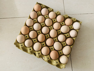 安全健康的柴鸡蛋🥚🥚🥚🥚🥚体验