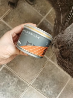 京造猫罐头这个包装有点精致