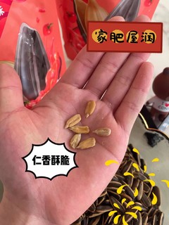 无限回购，番茄味火锅瓜子停不下来🥳