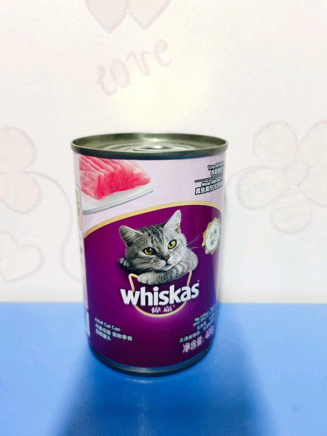 ​希望今夜你们也可以吃顿饱饭，流浪毛孩