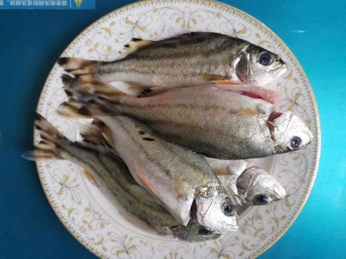 年夜饭不只大鱼大肉小小甘草鱼也够鲜美