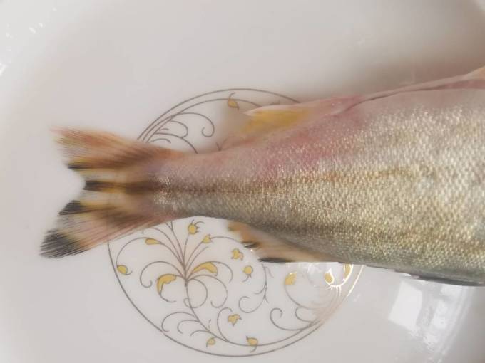 年夜饭不只大鱼大肉,小小甘草鱼也够鲜美