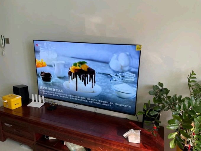 东芝OLED电视