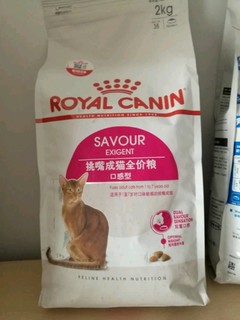 皇家ES35成猫猫粮