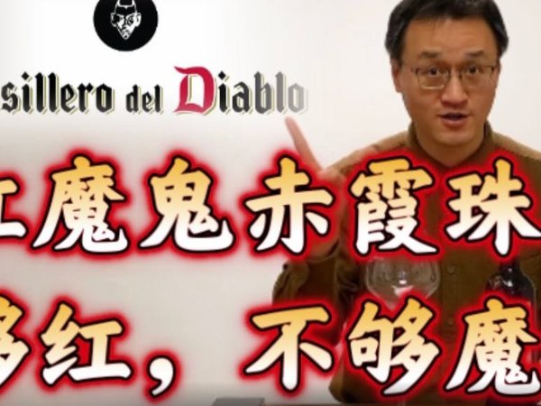 红魔鬼赤霞珠好不好喝？套哥来替你试试