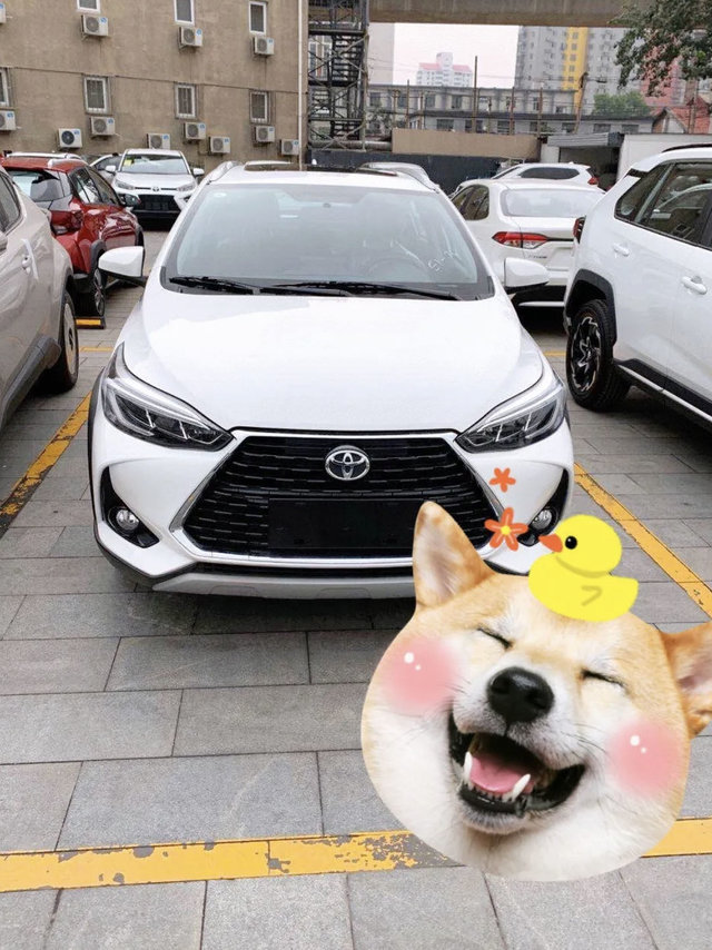 🚘～我们的爱车Toyota致炫～🚘