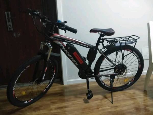 凤凰电动助力车