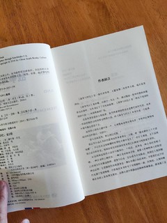 京东300减200的主角之二