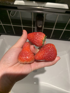 线上买生鲜第二弹盒马鲜生红颜99草莓🍓