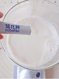 春节新入手的酸奶机真不错