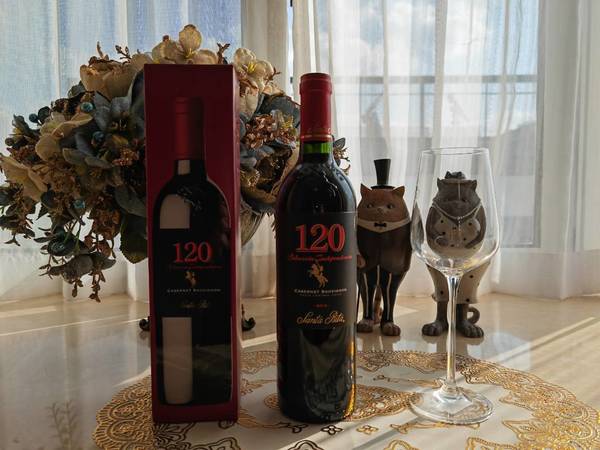 柔和的新手智利赤霞珠