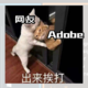 Adobe怪不得盗版这么多？被批斗了