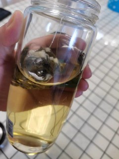 茶里蜜桃乌龙茶