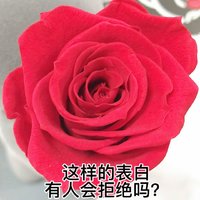 情人节自救指南：试试用永生花表白吧🌹