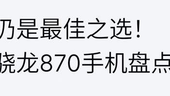 手机干货合集 篇六：仍是最佳之选——盘点值得购买的骁龙870手机 