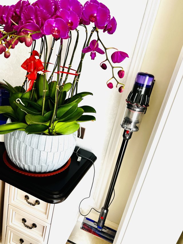 搬新家不得不入手的好物