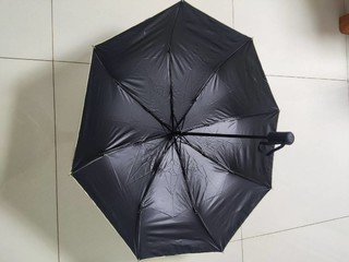 清新可爱的牛油果色自动雨伞