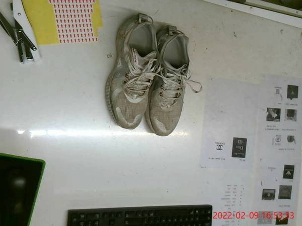 第一次洗护，又被惊艳到