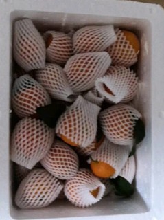 六尚 广西沃柑当季新鲜水果橘子净重 中果