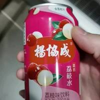 杨协成荔枝水饮品，清甜润口