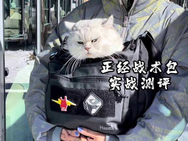 麦格霍斯magforce正经战术挎包实战测评