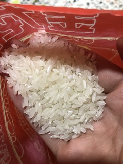 金龙鱼原香稻—这米好吃😋！香软弹滑！！