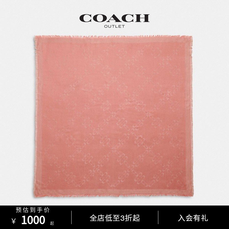 吐血整理的38款蔻驰COACH“包”治百病