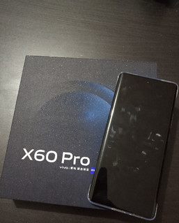 vivo X60 Pro 12GB+25
