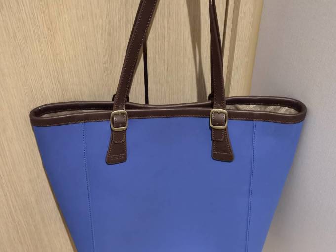 卡骆驰女士手提包