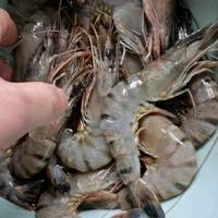 越南黑虎虾