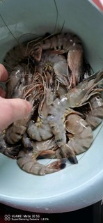 越南黑虎虾