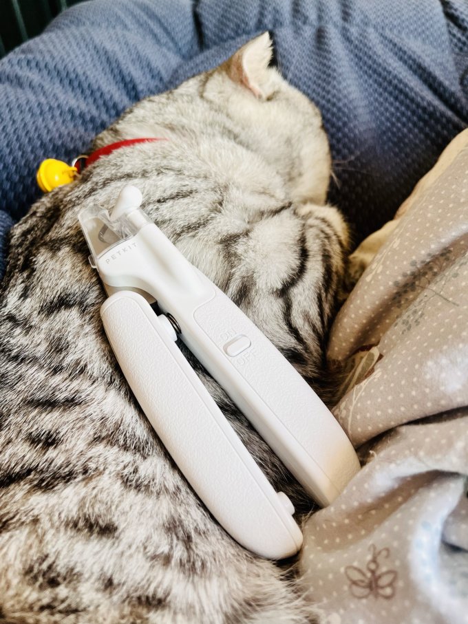 小佩宠物基本护理怎么样 猫用好物 小佩指甲钳 什么值得买