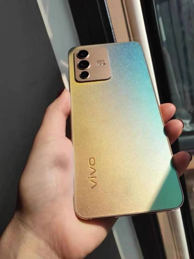 vivos12