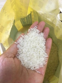 挂绿增城油粘米