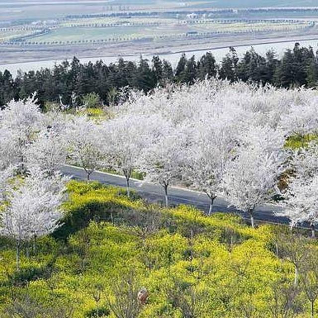 郑州室内亲子游玩好去处，全都免费的十大遛娃景点，不要错过~