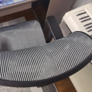 支家人体工学椅办公椅电脑椅