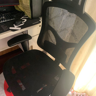 支家人体工学椅办公椅电脑椅